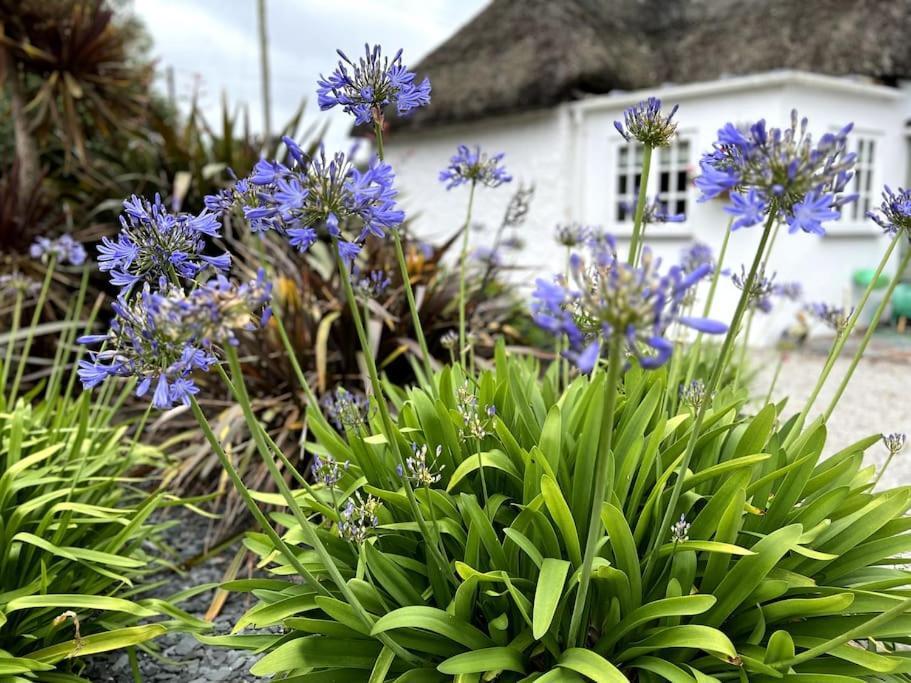 Cosy Thatched Sleeps 6 Near Portscatho! * Porthscatho